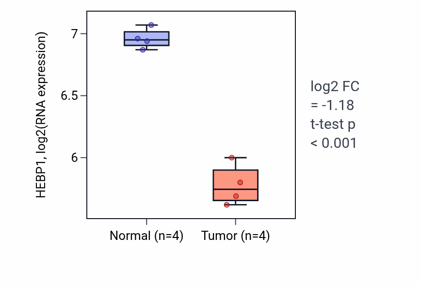 Tumor-vs-normal expression box plot for HEBP1 RNA in THCA.
