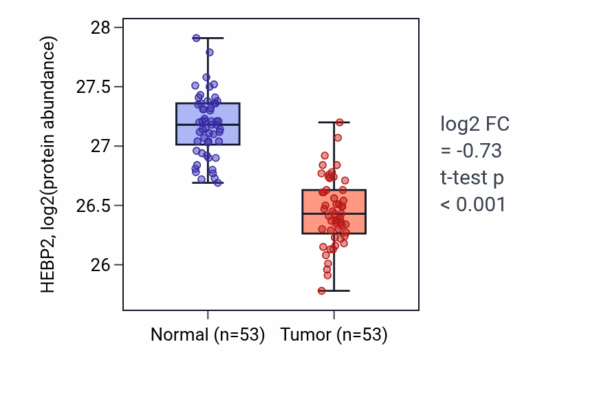 Tumor-vs-normal mass-spec protein box plot for HEBP2 in HNSC.