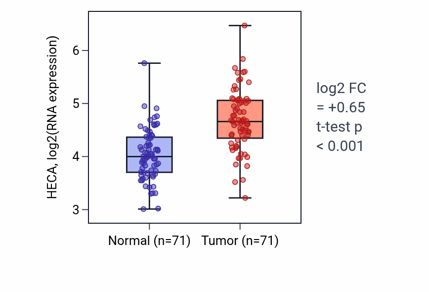 Tumor-vs-normal expression box plot for HECA in KIRC.