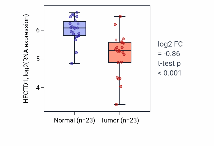 Tumor-vs-normal expression box plot for HECTD1 in THCA.