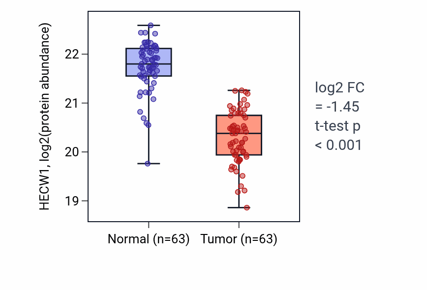 Tumor-vs-normal mass-spec protein box plot for HECW1 in CCRCC.