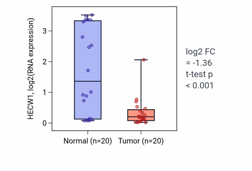 Tumor-vs-normal expression box plot for HECW1 RNA in KIRC.