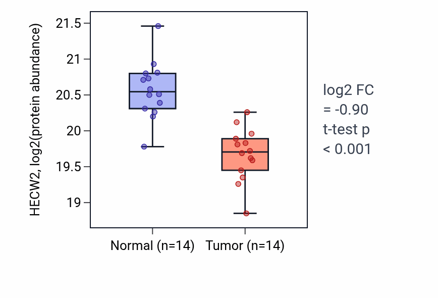 Tumor-vs-normal mass-spec protein box plot for HECW2 in HNSC.