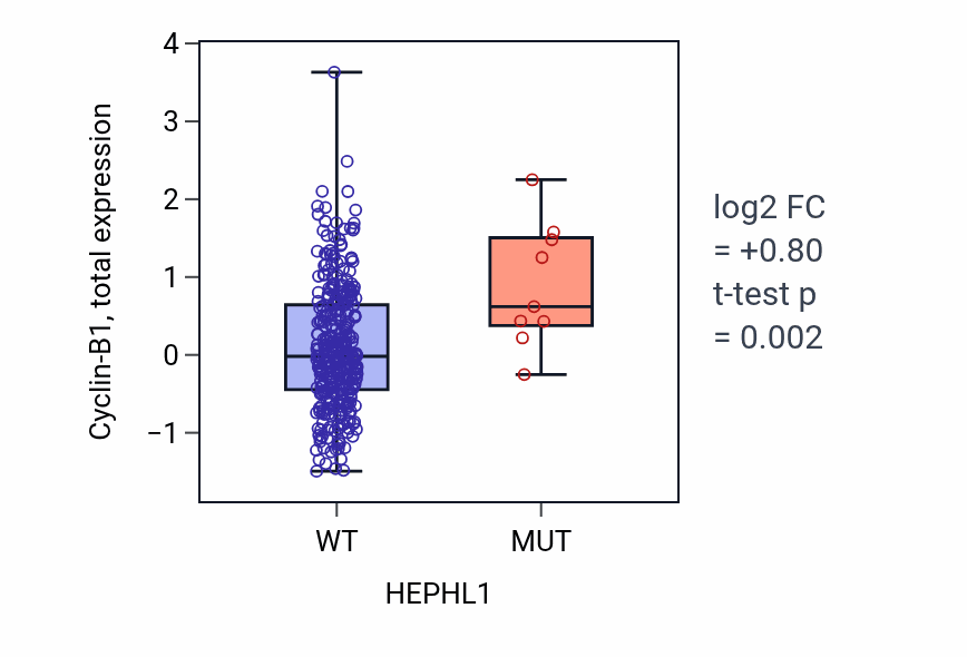 Box plot of Cyclin-B1 in HEPHL1-low vs HEPHL1-high samples in LUAD.