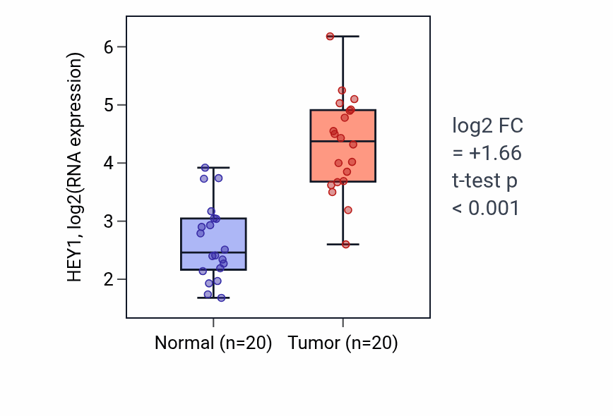 Tumor-vs-normal expression box plot for HEY1 in KIRC.