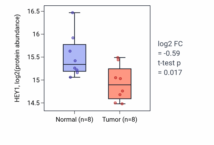Tumor-vs-normal mass-spec protein box plot for HEY1 in LSCC.