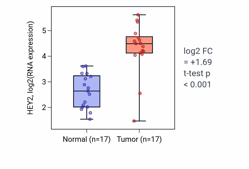 Tumor-vs-normal expression box plot for HEY2 in THCA.