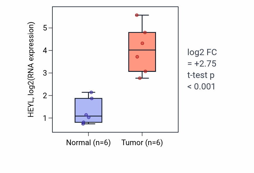 Tumor-vs-normal expression box plot for HEYL in HNSC.