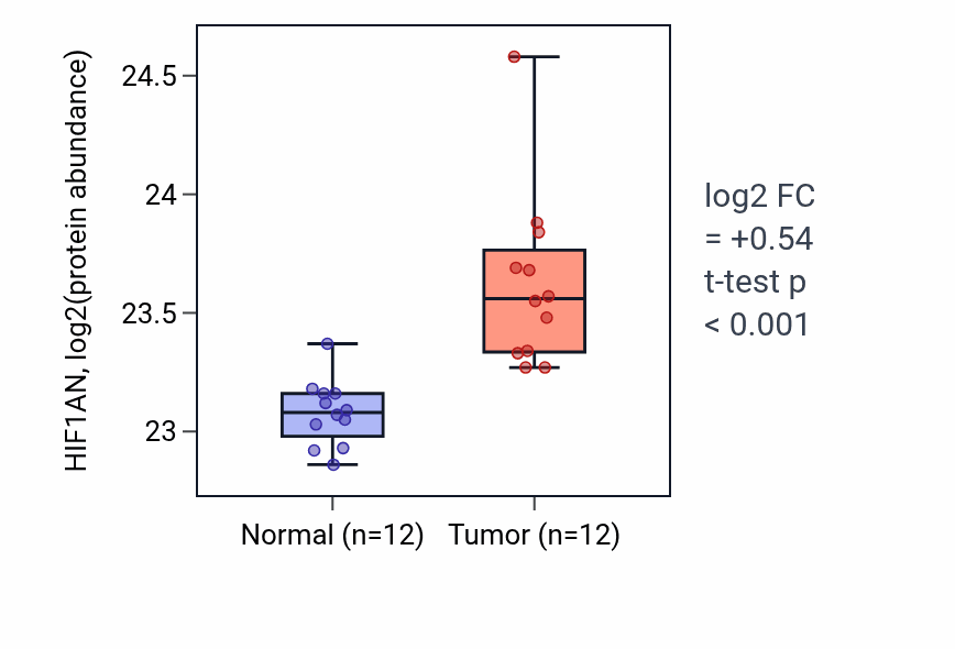 Tumor-vs-normal mass-spec protein box plot for HIF1AN in CCRCC.
