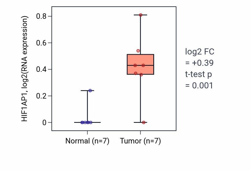 Tumor-vs-normal expression box plot for HIF1AP1 RNA in STAD.