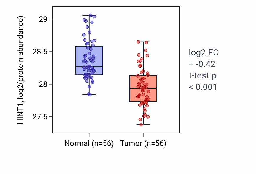 Tumor-vs-normal mass-spec protein box plot for HINT1 in HNSC.