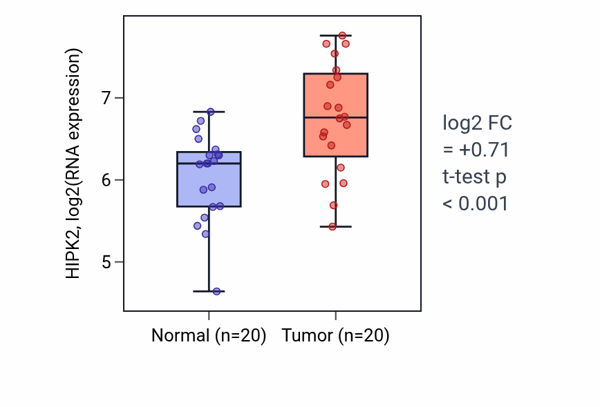 Tumor-vs-normal expression box plot for HIPK2 in KIRC.