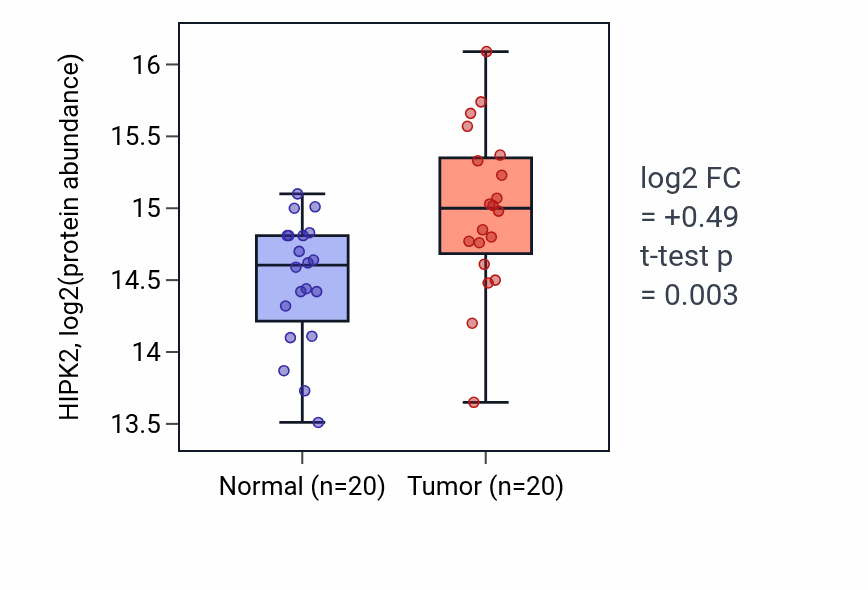 Tumor-vs-normal mass-spec protein box plot for HIPK2 in LUAD.