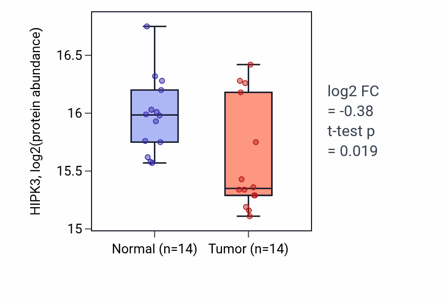 Tumor-vs-normal mass-spec protein box plot for HIPK3 in LSCC.