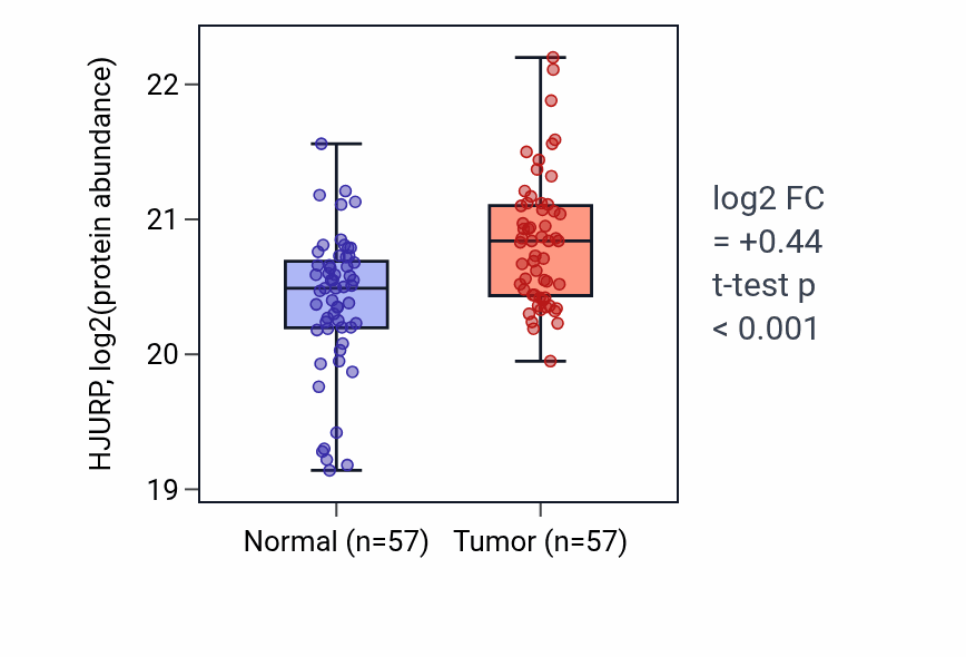 Tumor-vs-normal mass-spec protein box plot for HJURP in LSCC.