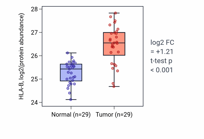 Tumor-vs-normal mass-spec protein box plot for HLA-B in CCRCC.