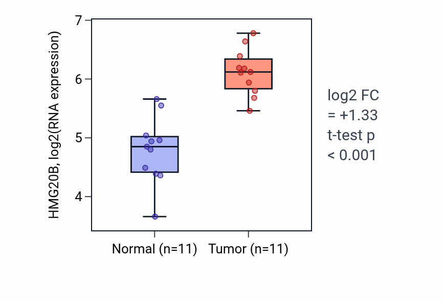 Tumor-vs-normal expression box plot for HMG20B in HNSC.