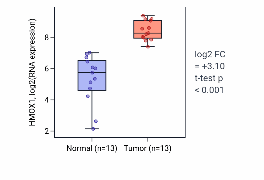 Tumor-vs-normal expression box plot for HMOX1 in KIRC.