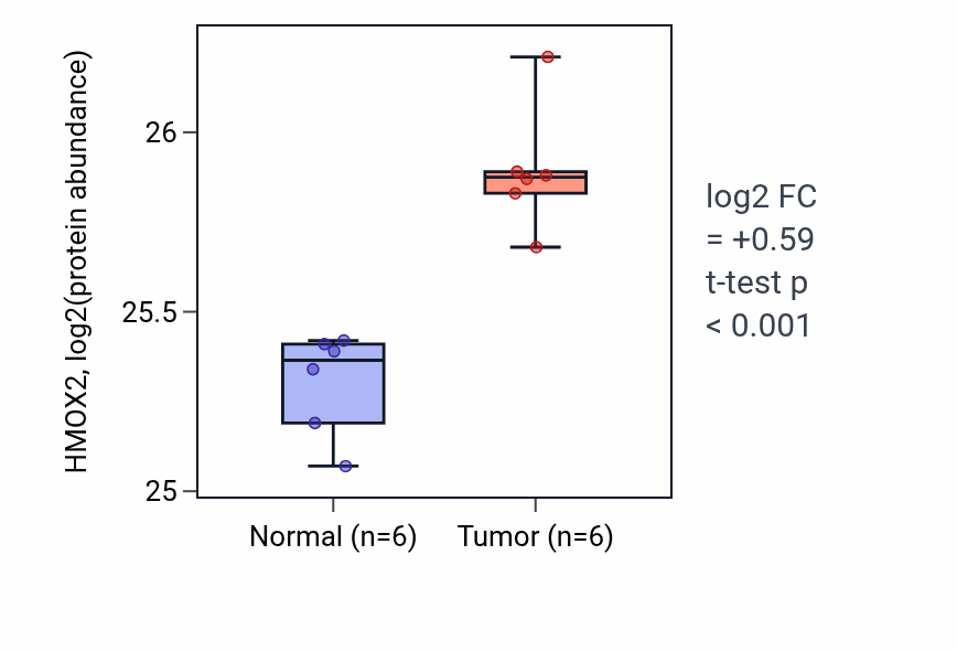 Tumor-vs-normal mass-spec protein box plot for HMOX2 in HNSC.