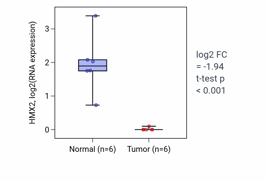 Tumor-vs-normal expression box plot for HMX2 in KIRC.