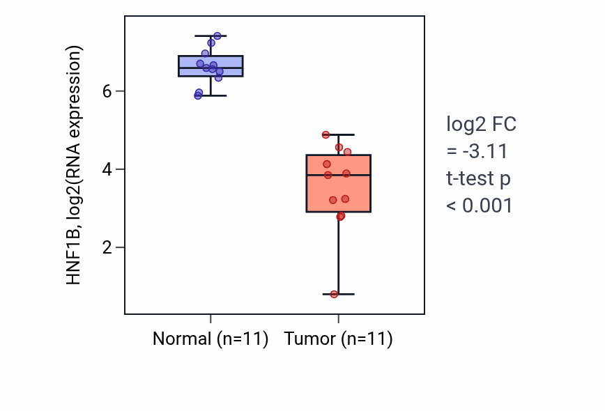 Tumor-vs-normal expression box plot for HNF1B in KICH.