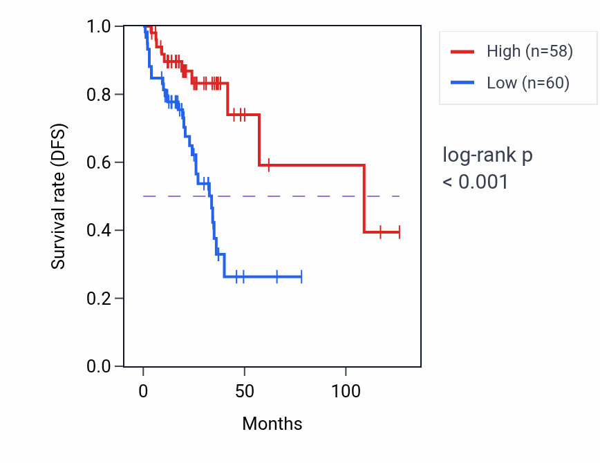 Kaplan&ndash;Meier survival curve for HNRNPA1P56 RNA expression in READ: high vs low expression groups.