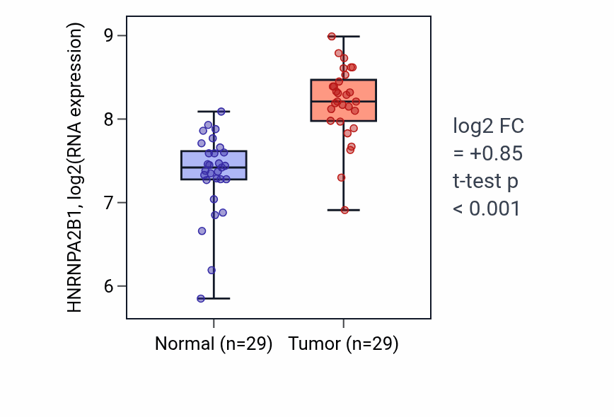 Tumor-vs-normal expression box plot for HNRNPA2B1 RNA in HNSC.