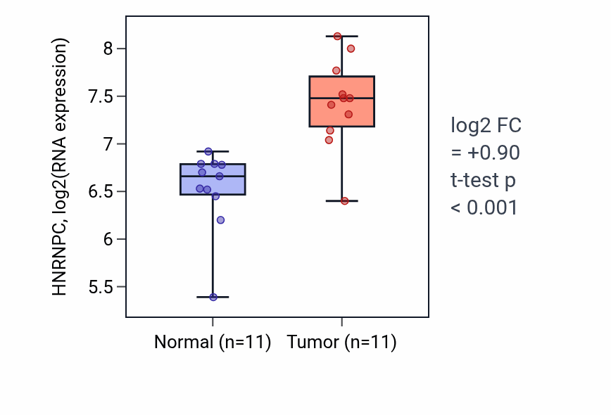 Tumor-vs-normal expression box plot for HNRNPC RNA in HNSC.