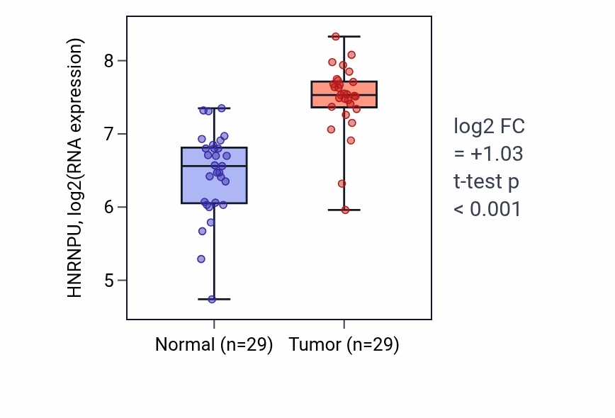 Tumor-vs-normal expression box plot for HNRNPU in HNSC.