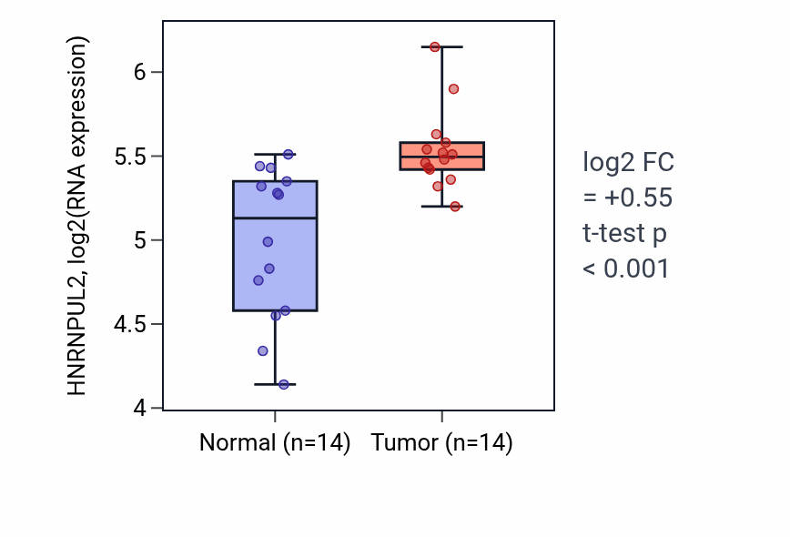 Tumor-vs-normal expression box plot for HNRNPUL2 in KIRC.