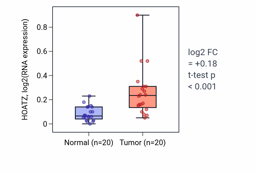 Tumor-vs-normal expression box plot for HOATZ in KIRC.