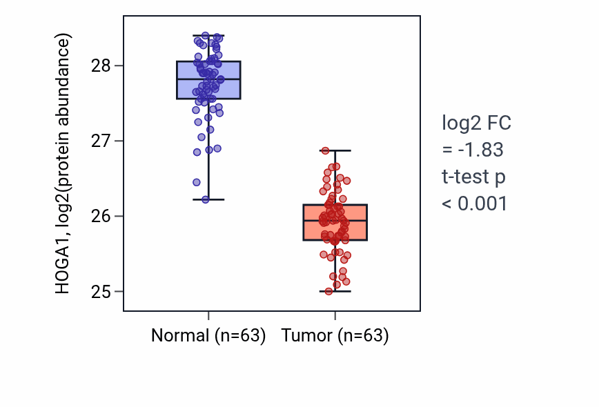 Tumor-vs-normal mass-spec protein box plot for HOGA1 in CCRCC.