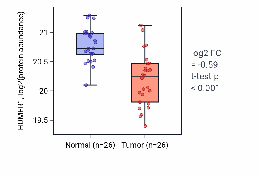 Tumor-vs-normal mass-spec protein box plot for HOMER1 in CCRCC.