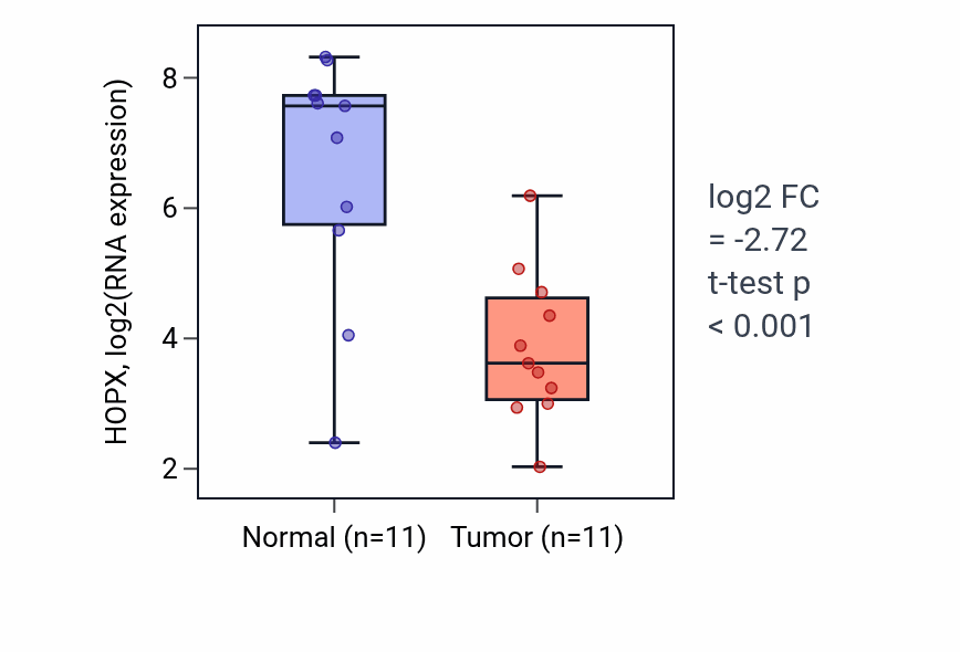 Tumor-vs-normal expression box plot for HOPX in HNSC.