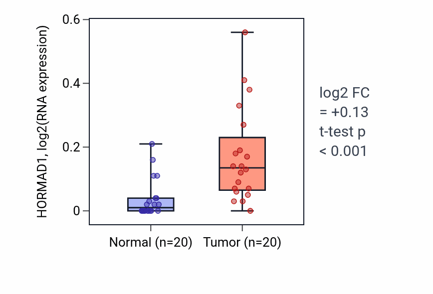 Tumor-vs-normal expression box plot for HORMAD1 RNA in KIRC.