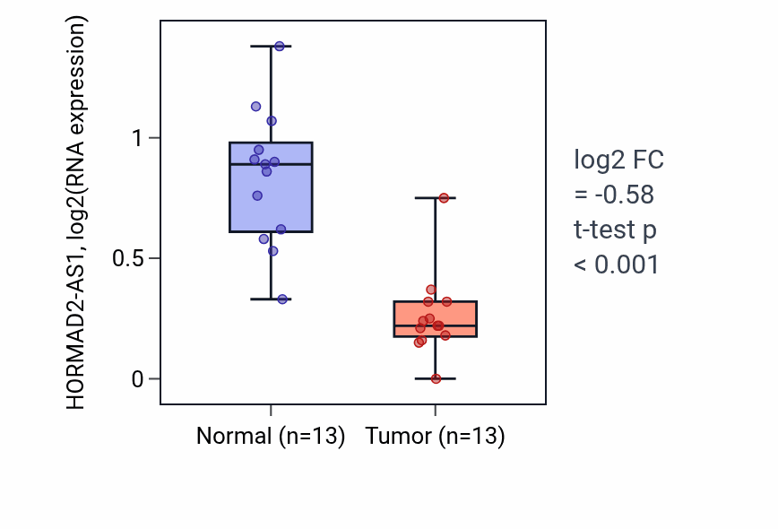 Tumor-vs-normal expression box plot for HORMAD2-AS1 in KIRC.
