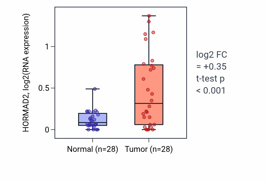 Tumor-vs-normal expression box plot for HORMAD2 in LUAD.