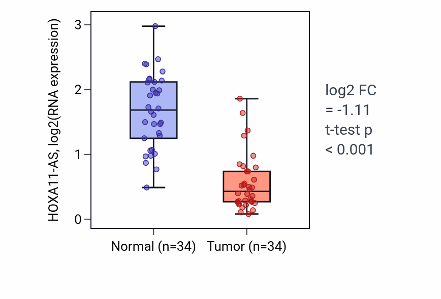 Tumor-vs-normal expression box plot for HOXA11-AS RNA in KIRC.