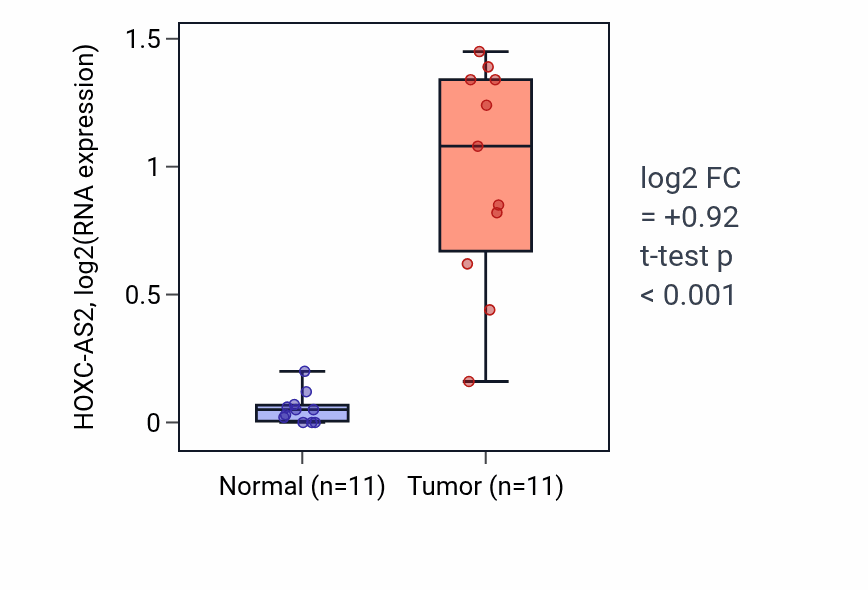 Tumor-vs-normal expression box plot for HOXC-AS2 in HNSC.