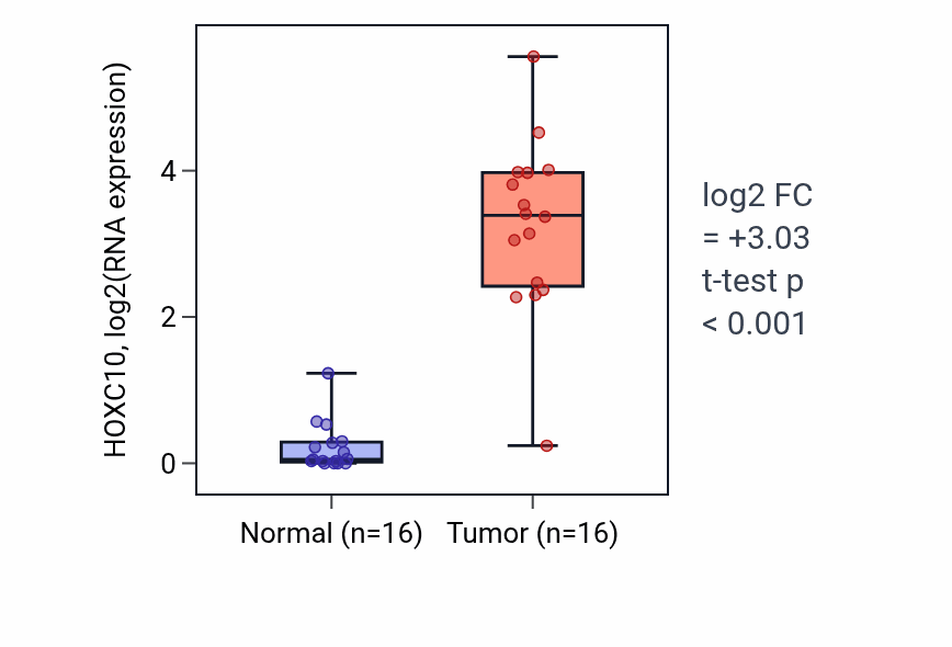 Tumor-vs-normal expression box plot for HOXC10 in HNSC.