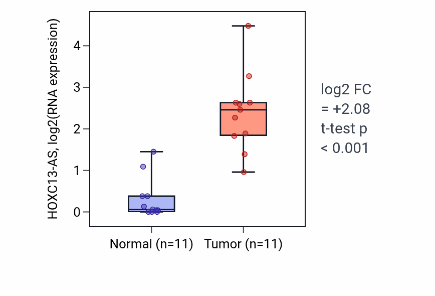 Tumor-vs-normal expression box plot for HOXC13-AS in HNSC.