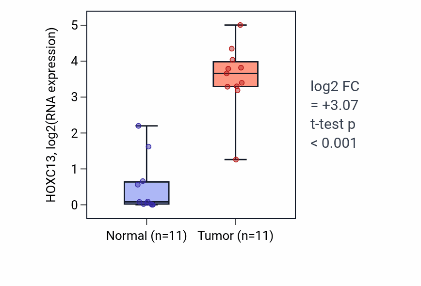 Tumor-vs-normal expression box plot for HOXC13 in HNSC.