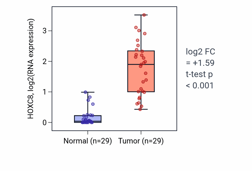 Tumor-vs-normal expression box plot for HOXC8 in HNSC.