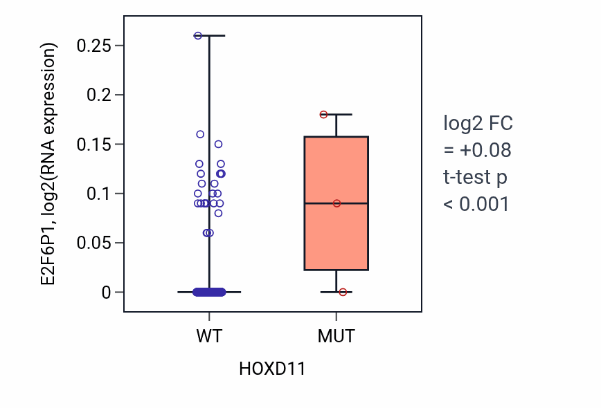 Box plot of E2F6P1 in HOXD11-low vs HOXD11-high samples in LUAD.