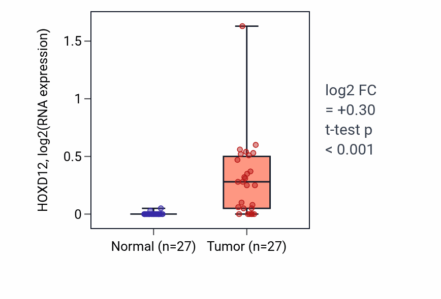 Tumor-vs-normal expression box plot for HOXD12 in HNSC.