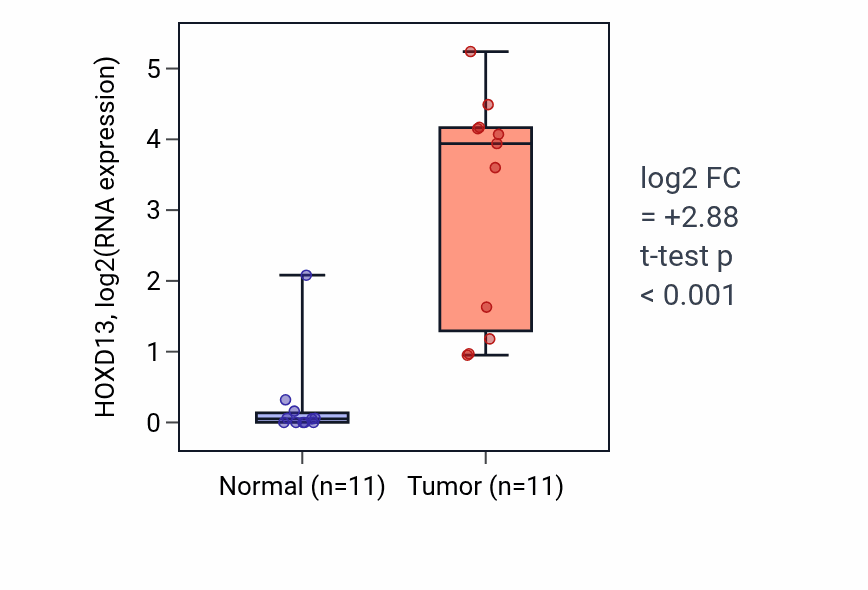 Tumor-vs-normal expression box plot for HOXD13 in HNSC.