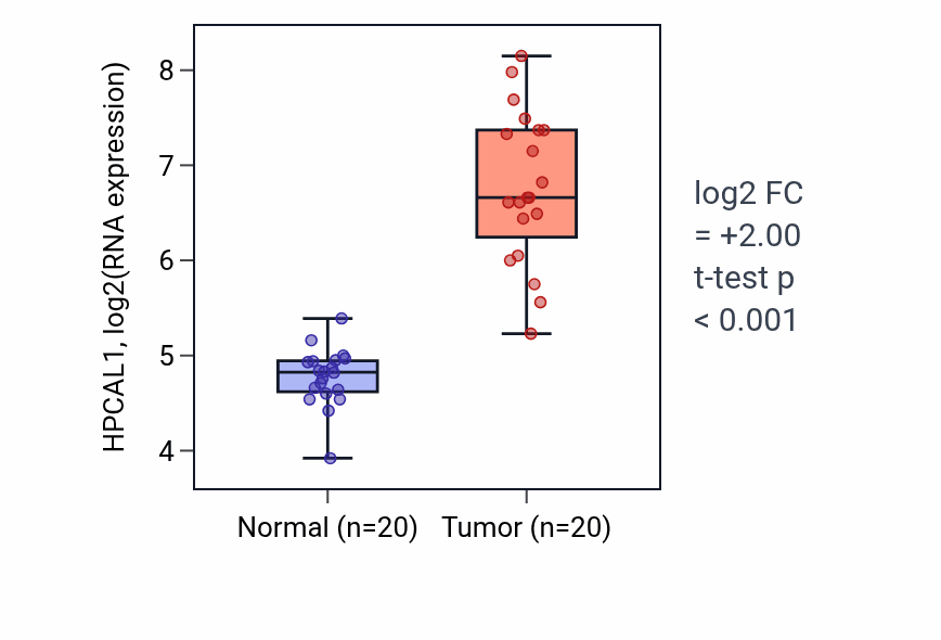Tumor-vs-normal expression box plot for HPCAL1 in KIRC.