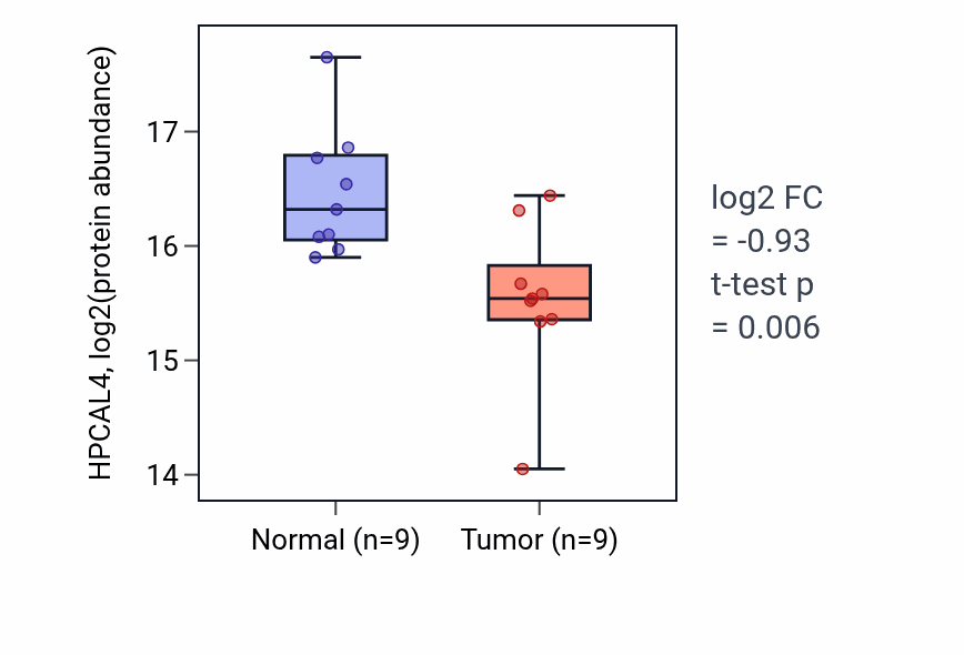 Tumor-vs-normal mass-spec protein box plot for HPCAL4 in LSCC.