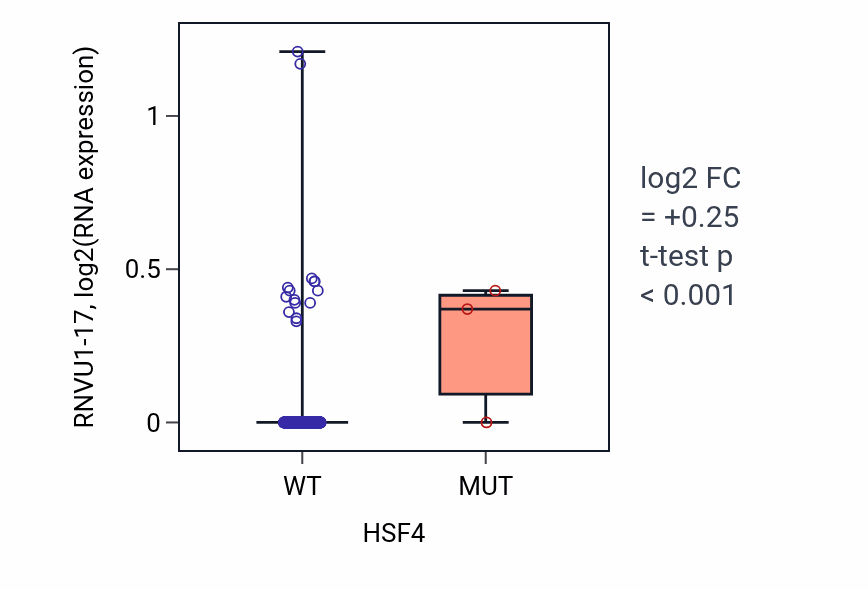 Box plot of RNVU1-17 in HSF4-low vs HSF4-high samples in HNSC.