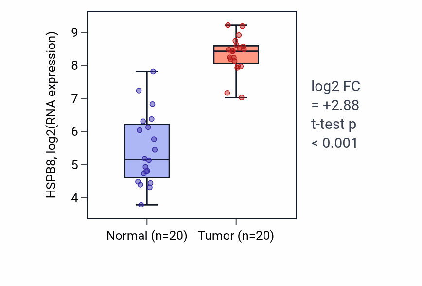 Tumor-vs-normal expression box plot for HSPB8 RNA in KIRC.